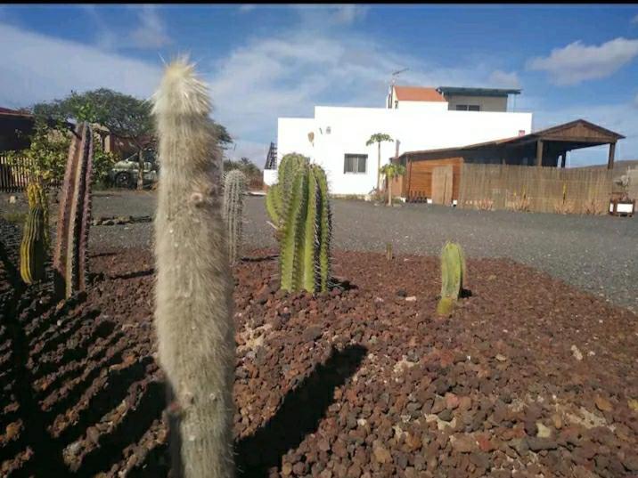 Villa Cabana Granitas Gran Tarajal Exterior foto